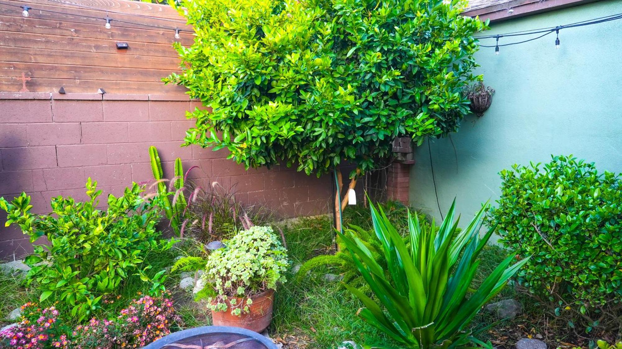 Cozy Private Guest House Los Angeles Buitenkant foto