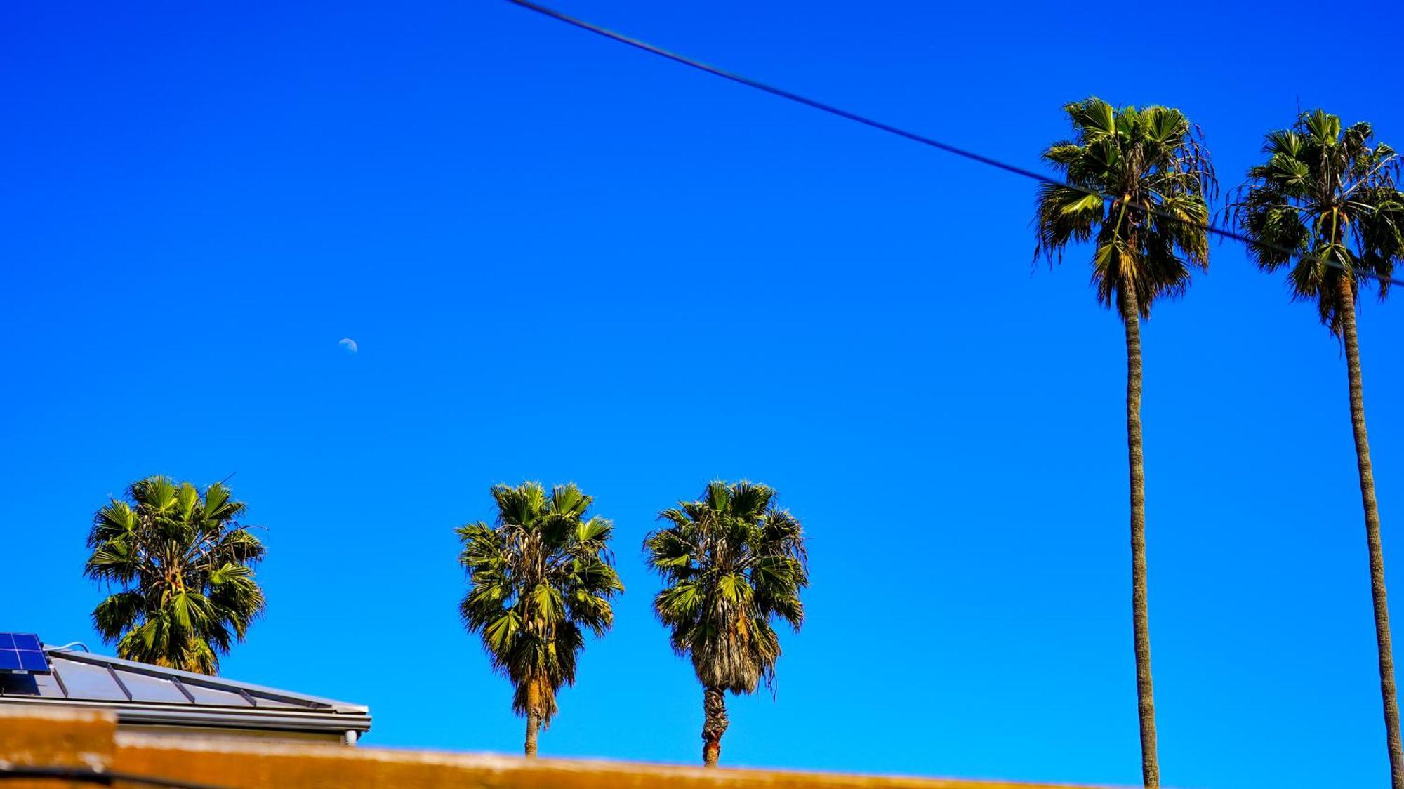 Cozy Private Guest House Los Angeles Buitenkant foto